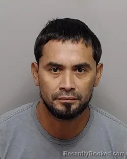 Mugshot of F N Brizuela Perdomo booked in Bexar County, Texas on August 4, 2026