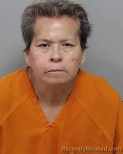 Mugshot of M G Pardo booked in Bexar County, Texas on August 5, 2026