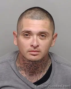Mugshot of F R Ramos booked in Bexar County, Texas on August 6, 2026