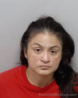 Mugshot of L Alejandre booked in Bexar County, Texas on August 6, 2026