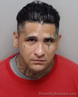 Mugshot of L A Flota booked in Bexar County, Texas on August 7, 2026