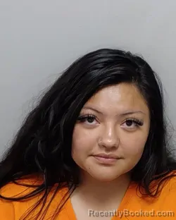 Mugshot of R Alaniz booked in Bexar County, Texas on August 7, 2026