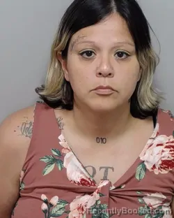 Booking photo from Bexar County, Texas