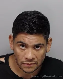 Mugshot of S J Montalbo booked in Bexar County, Texas on August 20, 2026