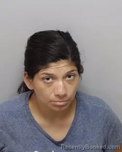 Mugshot of C A Salazar booked in Bexar County, Texas on September 9, 2026