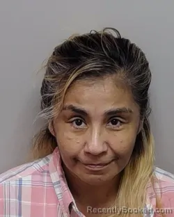 Mugshot of N L Gomez booked in Bexar County, Texas on September 10, 2026