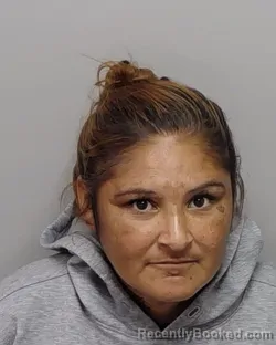 Mugshot of R L Perez booked in Bexar County, Texas on September 11, 2026
