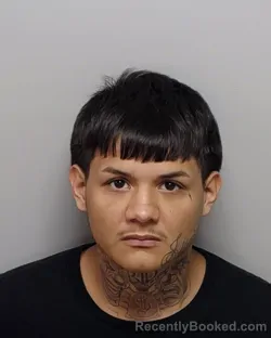 Mugshot of N J Gonzales-Tijerina booked in Bexar County, Texas on September 11, 2026