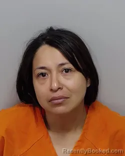 Mugshot of E Barragan booked in Bexar County, Texas on September 13, 2026