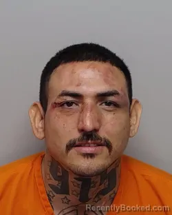 Mugshot of J D Mendez booked in Bexar County, Texas on September 13, 2026