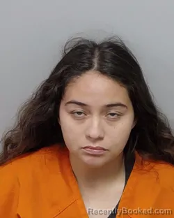 Mugshot of S H Cruz booked in Bexar County, Texas on September 14, 2026