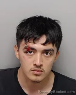 Mugshot of M Flores booked in Bexar County, Texas on September 14, 2026