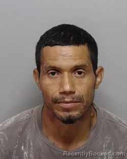 Mugshot of C Perez Hernandez booked in Bexar County, Texas on September 15, 2026