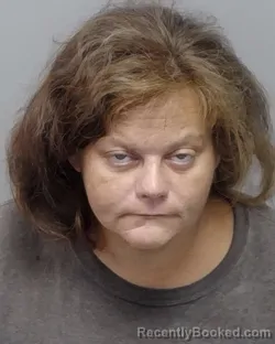 Mugshot of S E Nill booked in Bexar County, Texas on September 15, 2026