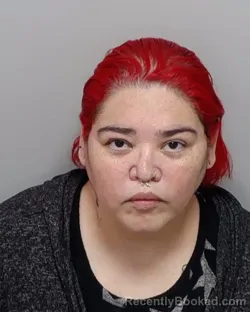 Mugshot of A B Chavez booked in Bexar County, Texas on September 15, 2026
