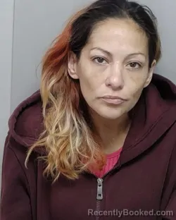 Mugshot of K N Trejo booked in Bexar County, Texas on September 15, 2026