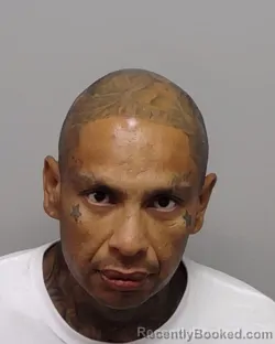 Mugshot of E R Zavala booked in Bexar County, Texas on September 17, 2026