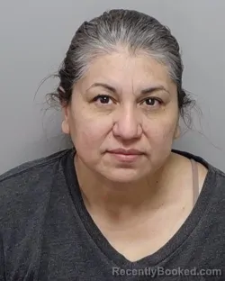 Mugshot of Y C Ramirez booked in Bexar County, Texas on September 17, 2026