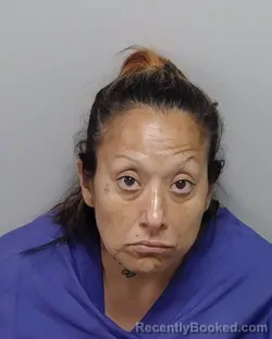 Mugshot of A M Vina booked in Bexar County, Texas on September 17, 2026