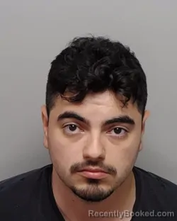 Mugshot of P A Recio booked in Bexar County, Texas on September 19, 2026