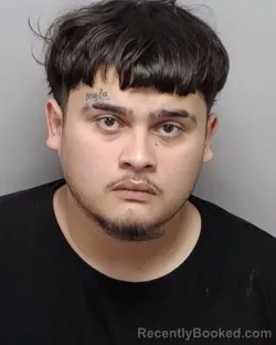 Mugshot of P J Hernandez booked in Bexar County, Texas on September 20, 2026