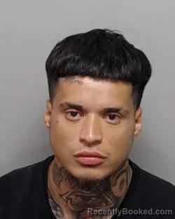 Mugshot of C Pacheco booked in Bexar County, Texas on September 20, 2026