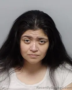 Mugshot of L Y Hernandez booked in Bexar County, Texas on September 23, 2026