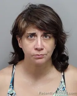 Mugshot of C L Gonzales booked in Bexar County, Texas on September 23, 2026