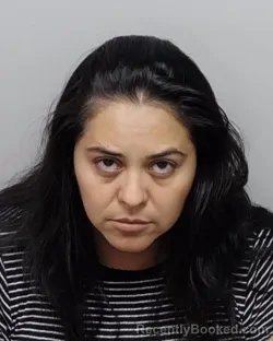 Mugshot of M G Delgado booked in Bexar County, Texas on September 24, 2026