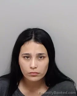 Mugshot of S Baez booked in Bexar County, Texas on September 26, 2026