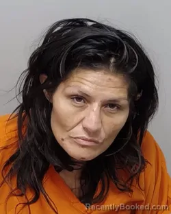 Mugshot of D Arce booked in Bexar County, Texas on September 27, 2026