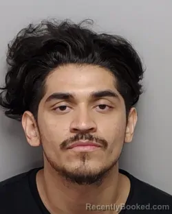 Mugshot of R Zapata booked in Bexar County, Texas on October 2, 2026