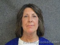 Mugshot of Julie Ann Feist