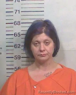 Mugshot of SARA JENINE BOWMAN booked in Hamilton County, Florida on July 28, 2026