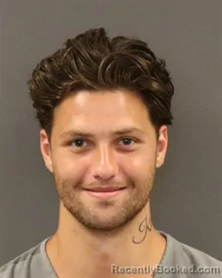 Mugshot of Delvin Wesley Jones