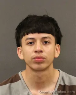 Mugshot of Manuel A Lopez-Argueta