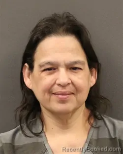 Mugshot of Veronica Castro-Meza booked in Hall County, Nebraska on June 3, 2026
