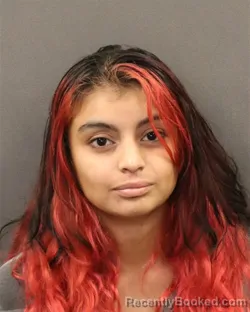 Mugshot of Aracelli R Hidalgo-Adrian