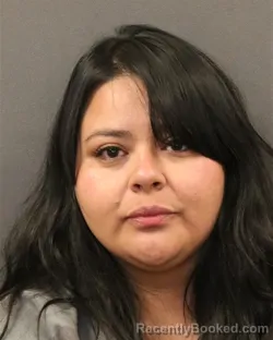 Mugshot of Ana G Martinez booked in Hall County, Nebraska on June 7, 2026