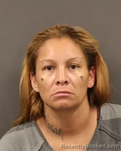 Mugshot of Apollonia L Decoteau booked in Hall County, Nebraska on June 8, 2026