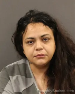 Mugshot of Jasmine Lara booked in Hall County, Nebraska on June 9, 2026