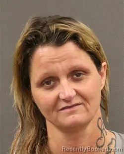 Mugshot of Selena L Teel booked in Hall County, Nebraska on June 17, 2026
