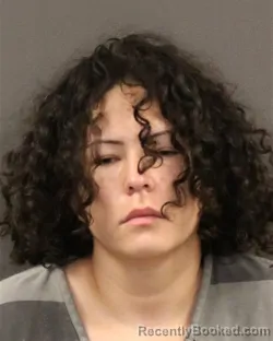 Mugshot of Vanessa D Hanson booked in Hall County, Nebraska on July 21, 2026