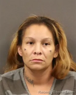 Mugshot of Apollonia L Decoteau booked in Hall County, Nebraska on August 4, 2026