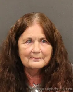 Mugshot of Tammie R Luevano booked in Hall County, Nebraska on August 7, 2026