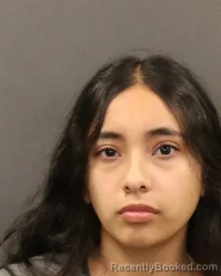 Mugshot of Viviana B Martinez booked in Hall County, Nebraska on August 10, 2026