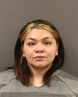 Mugshot of Irma Vanessa Mendoza booked in Hall County, Nebraska on August 10, 2026
