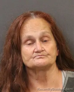 Mugshot of Leann Jo Skinner booked in Hall County, Nebraska on September 24, 2026