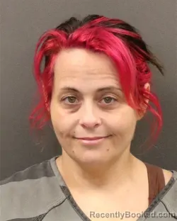 Mugshot of Rachael Elizabeth Howard booked in Hall County, Nebraska on October 6, 2026