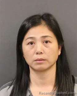 Mugshot of Minqing Zheng booked in Hall County, Nebraska on October 17, 2026